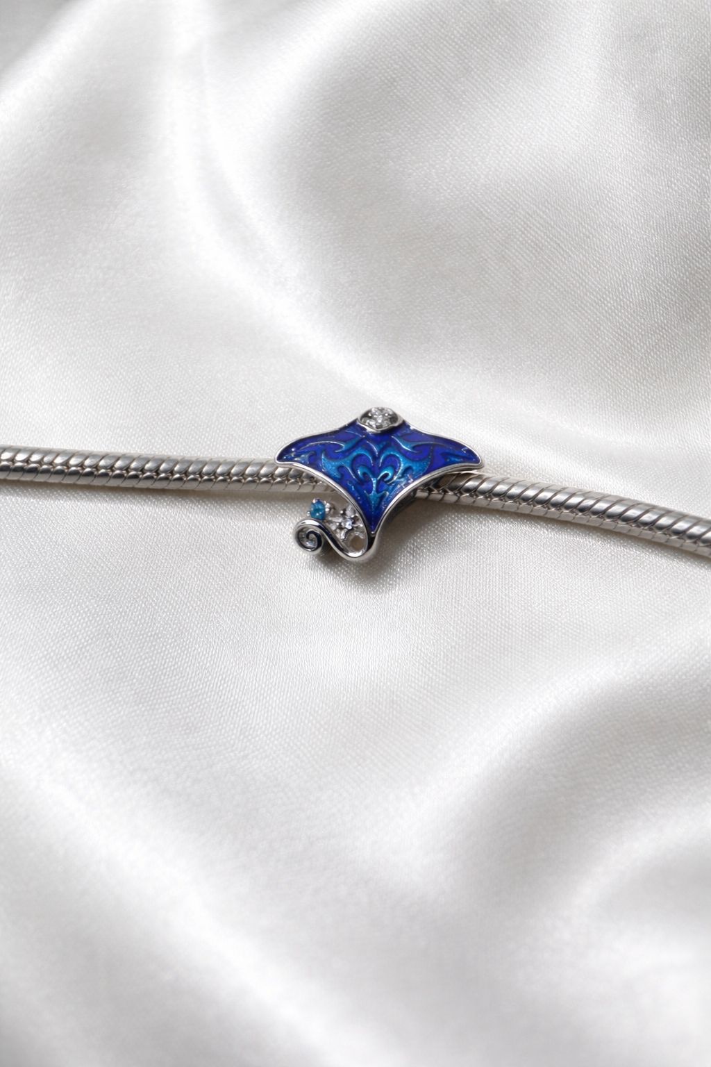 Raie Manta – Image 2